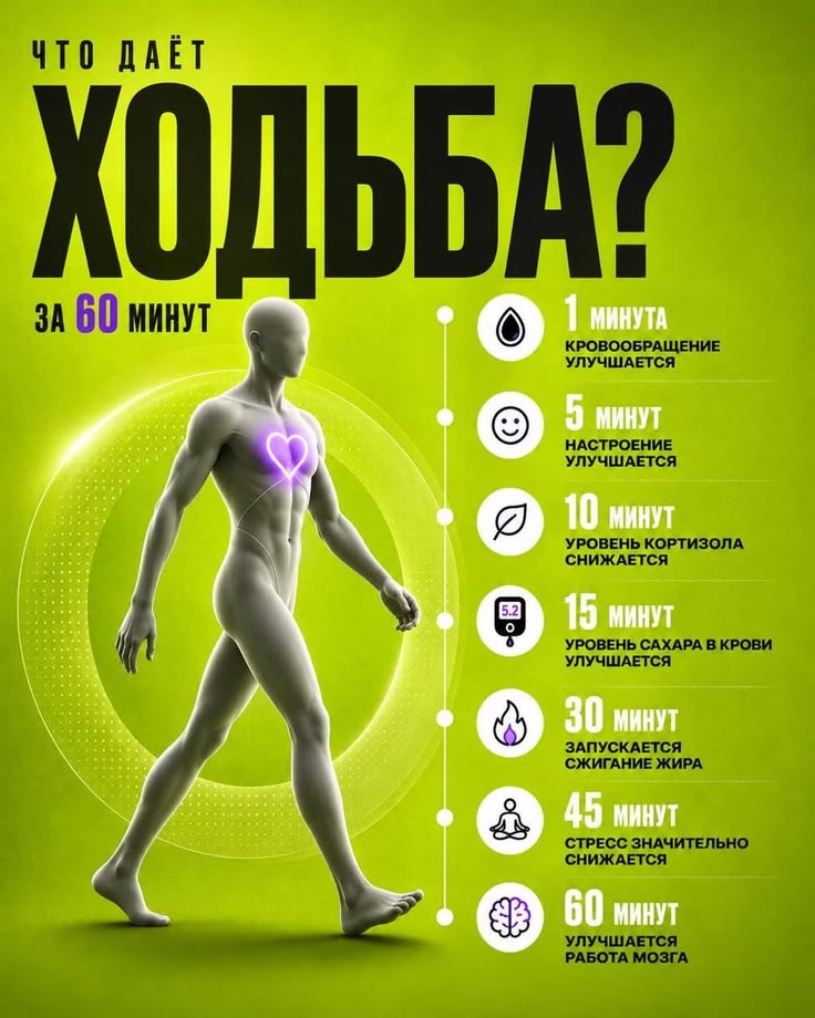 Один час ходьбы: что получает ваш организм за 60 минут